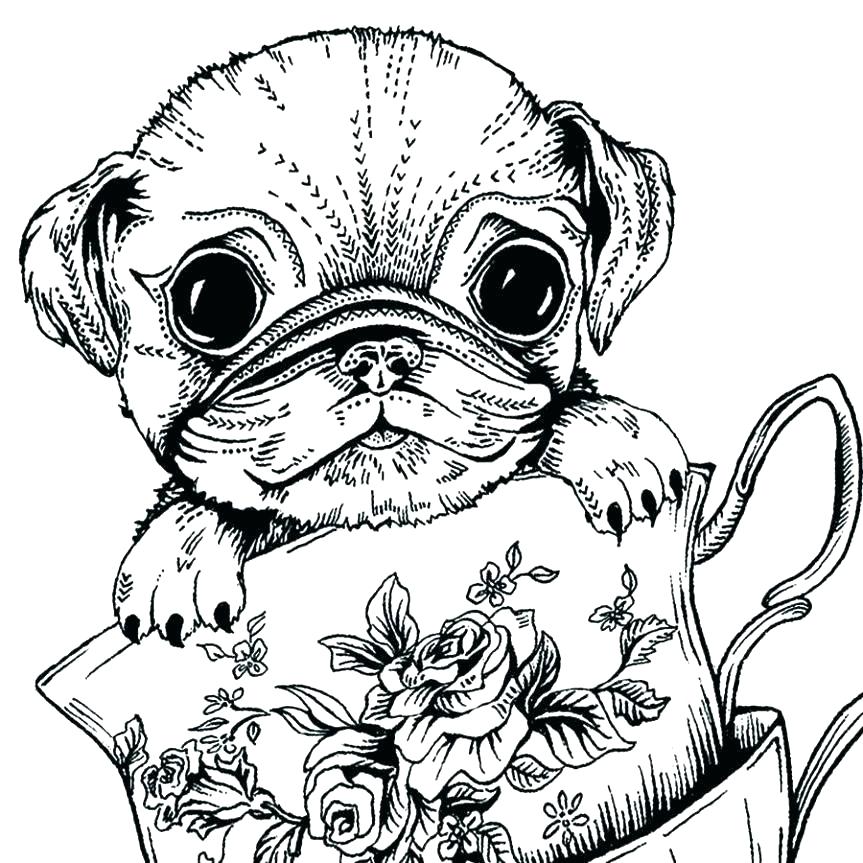 Pug Coloring Pages To Print at GetDrawings Free download