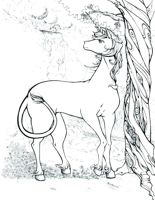 Rainbow Coloring Pages For Adults at GetDrawings | Free download