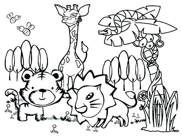 Rainforest Animals Coloring Pages at GetDrawings | Free download