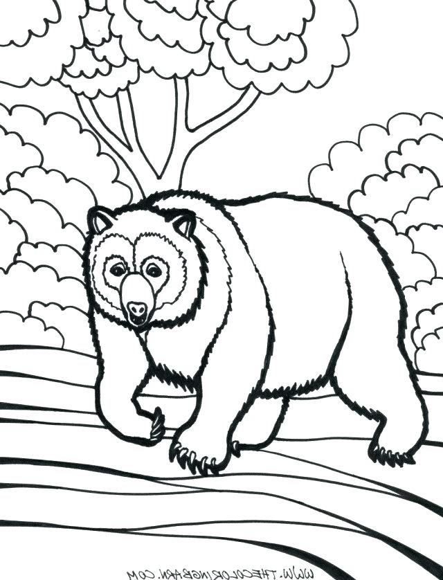 Rainforest Animals Coloring Pages at GetDrawings | Free download