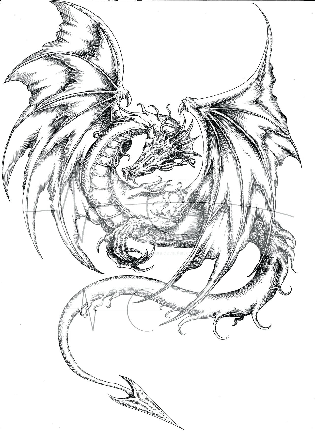 Real Dragon Coloring Pages at GetDrawings | Free download