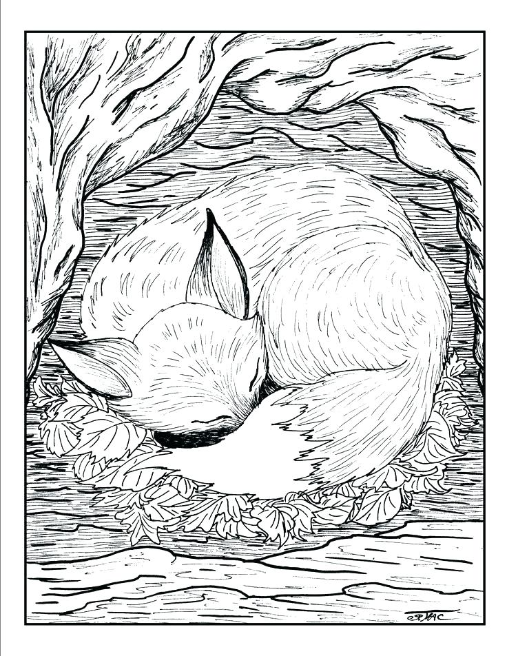 Realistic Animal Coloring Pages at GetDrawings | Free download