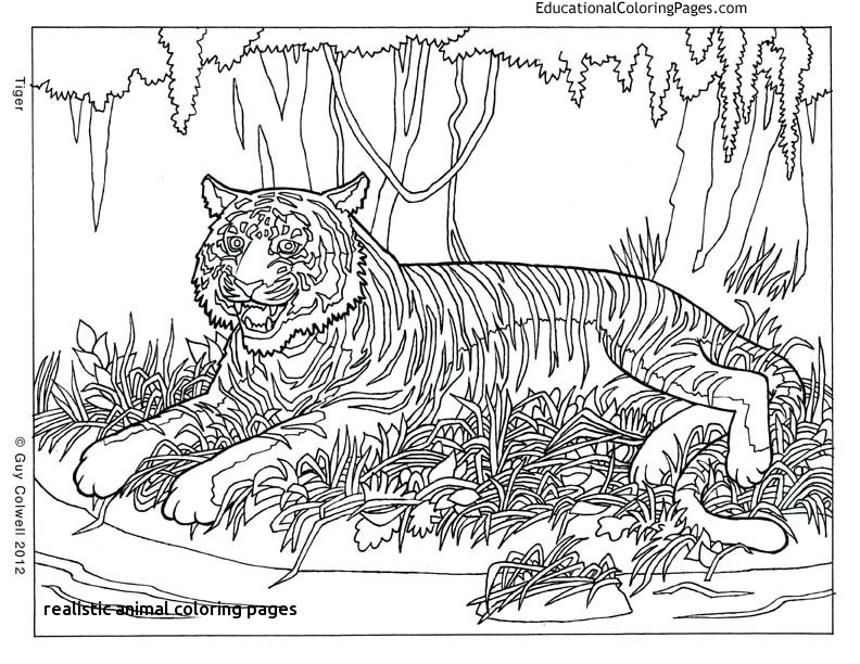 10 Realistic Animal Coloring Pages for Adults to Download