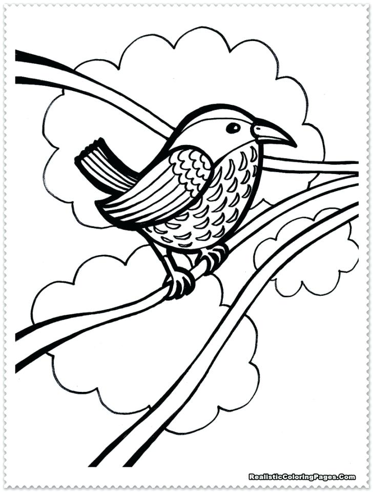 Realistic Bird Coloring Pages at GetDrawings | Free download