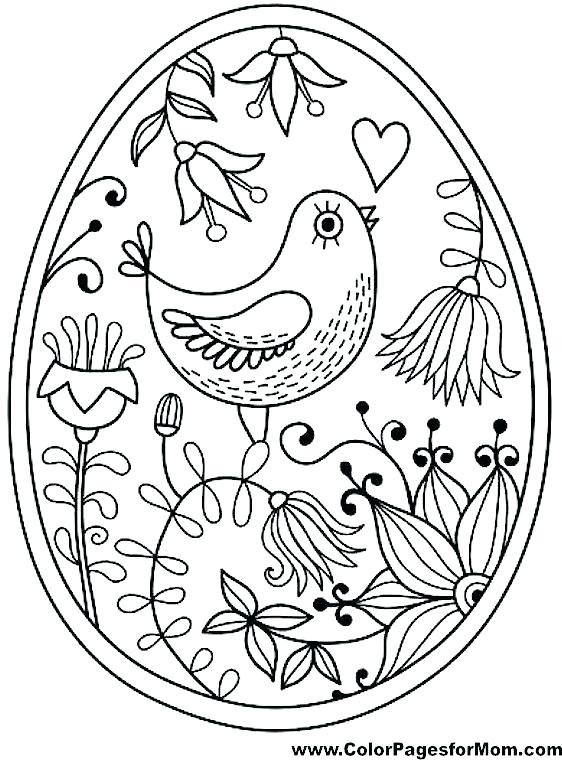 Realistic Bird Coloring Pages at GetDrawings | Free download