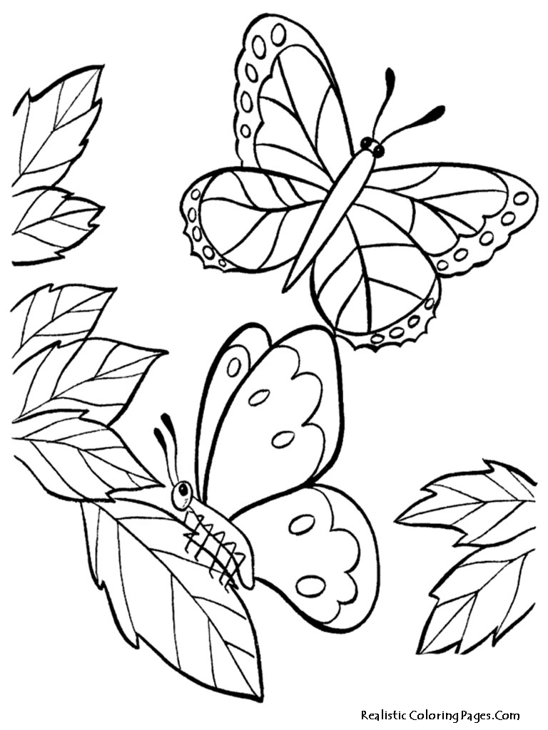 Realistic Butterfly Coloring Pages At Getdrawings Free Download