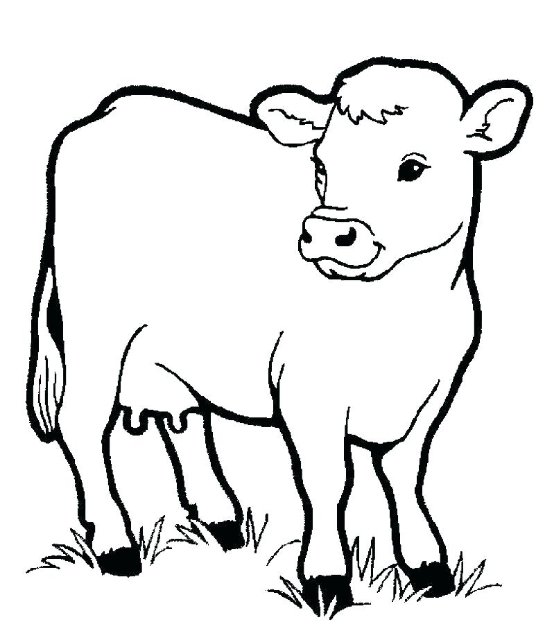 Realistic Cow Coloring Pages at GetDrawings | Free download