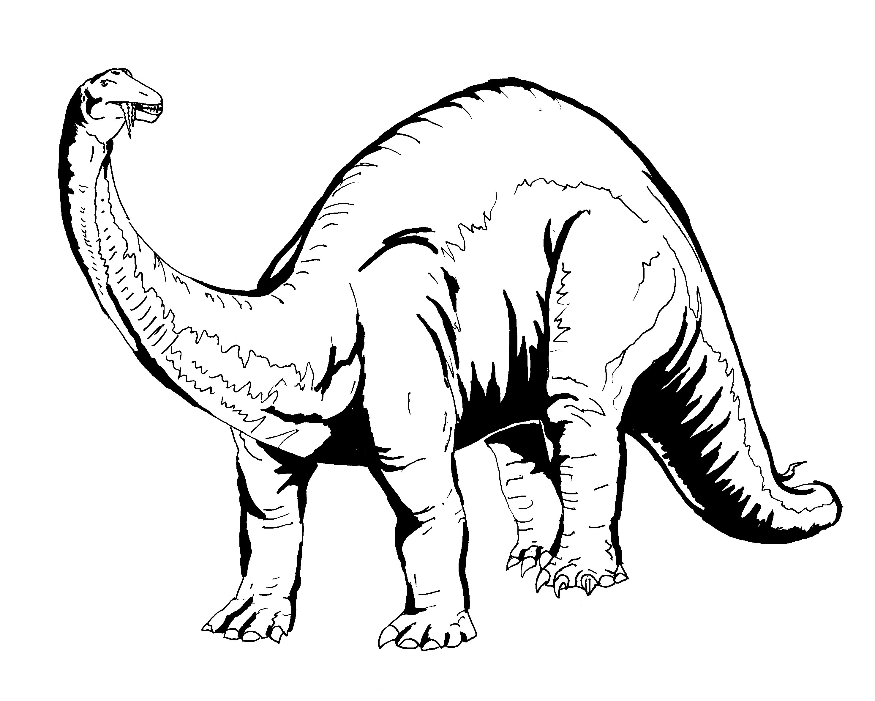 Realistic Dinosaurs Coloring Pages at GetDrawings Free download
