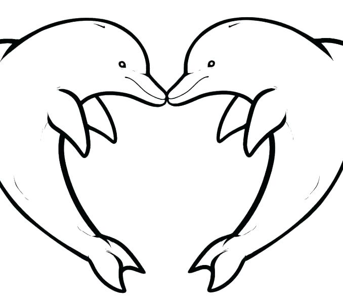 Realistic Dolphin Coloring Pages at GetDrawings | Free download