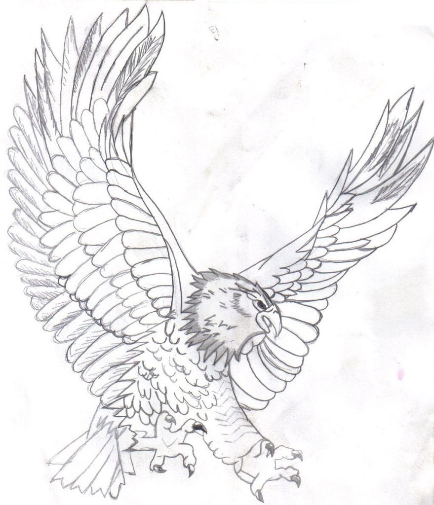 Realistic Eagle Coloring Pages at GetDrawings | Free download