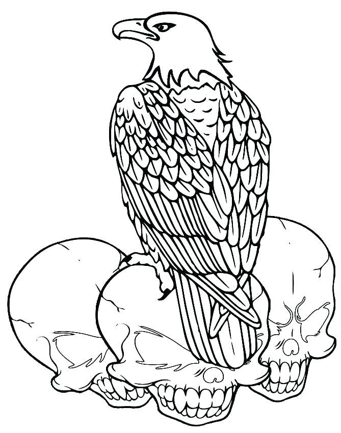 The best free Bald eagle coloring page images. Download from 855 free