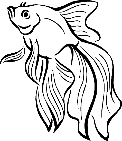 Realistic Fish Coloring Pages at GetDrawings | Free download
