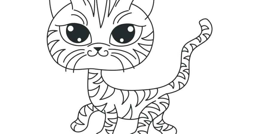 Realistic Kitten Coloring Pages at GetDrawings | Free download
