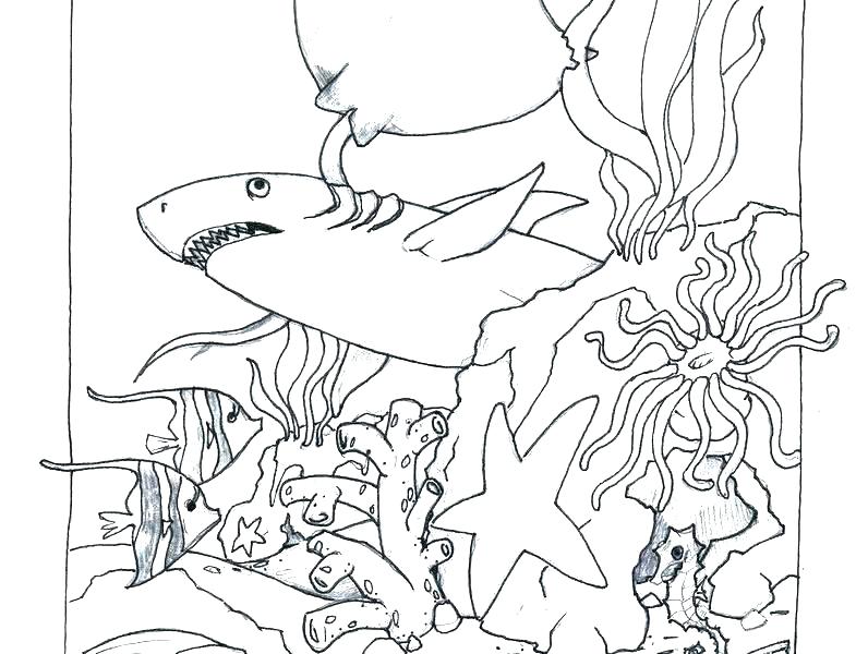 Realistic Ocean Coloring Pages at GetDrawings | Free download