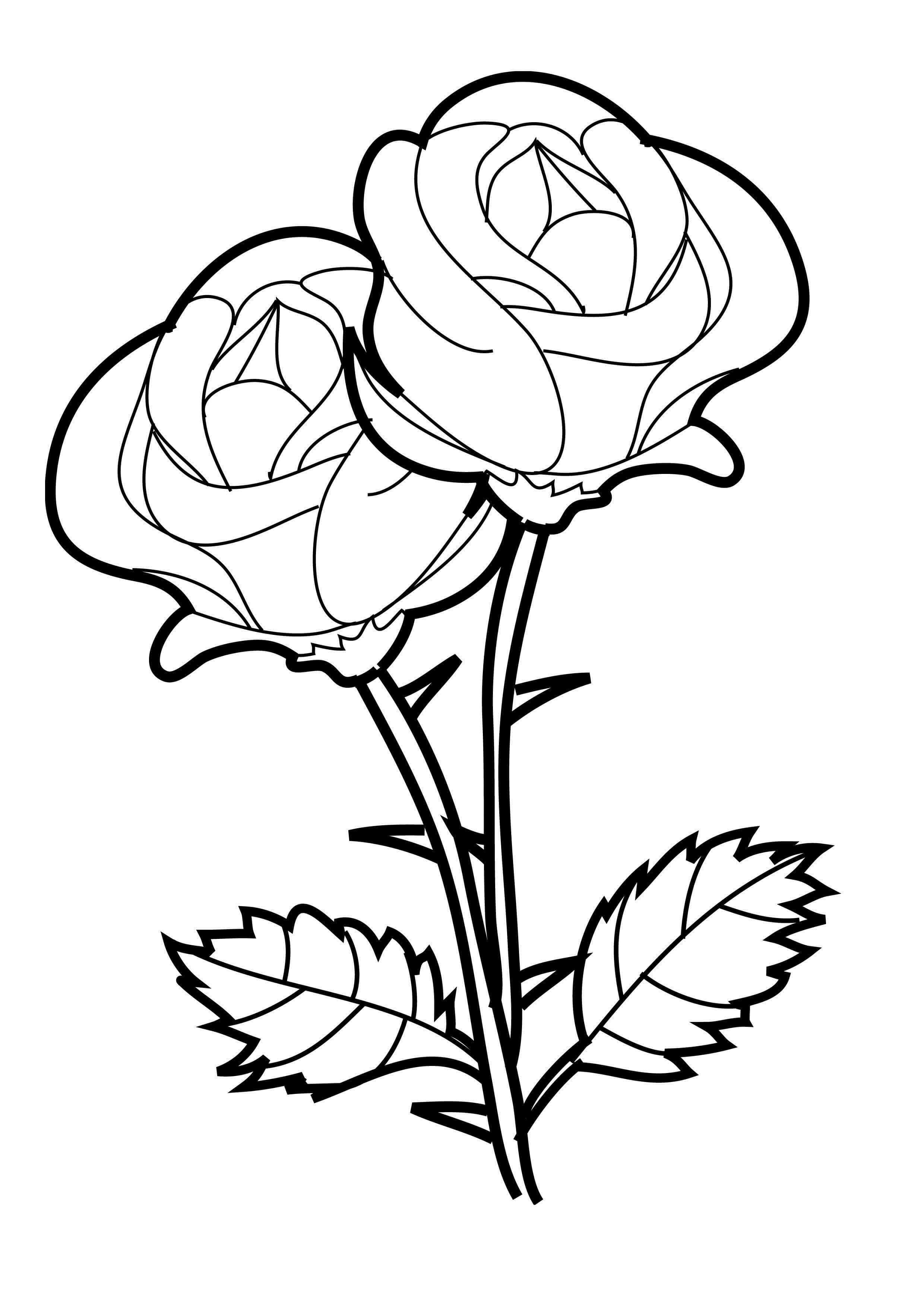 Realistic Rose Coloring Pages At GetDrawings | Free Download