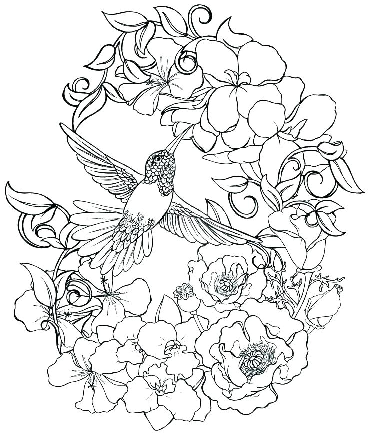 Realistic Rose Coloring Pages at GetDrawings Free download