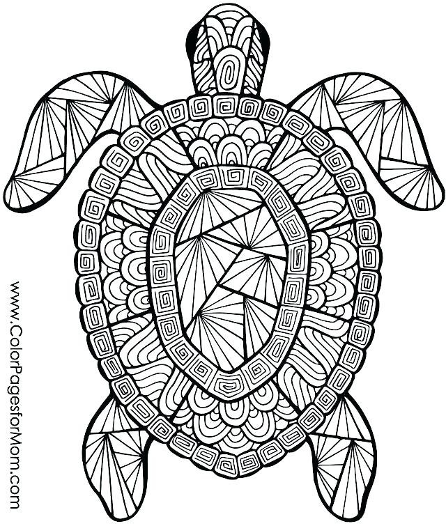 The best free Animal coloring page images. Download from 8855 free