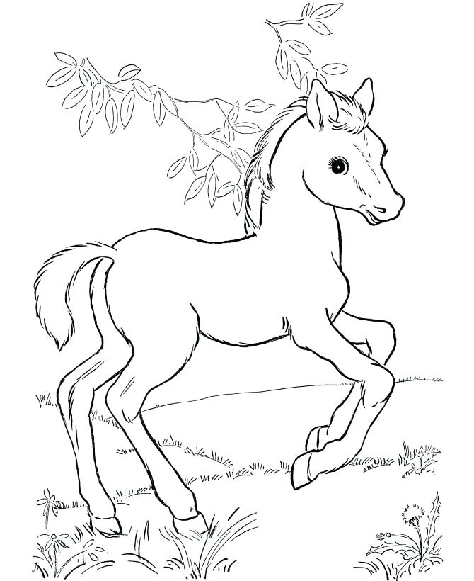 Rocking Horse Coloring Pages at GetDrawings | Free download