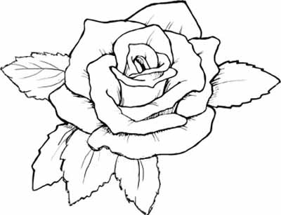 Rose Art Coloring Pages At Getdrawings Free Download