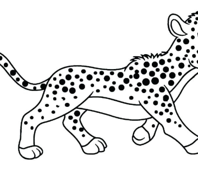 Running Cheetah Coloring Pages at GetDrawings | Free download