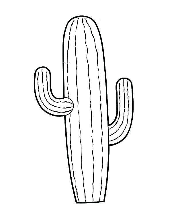 Saguaro Cactus Coloring Page At Getdrawings Free Download