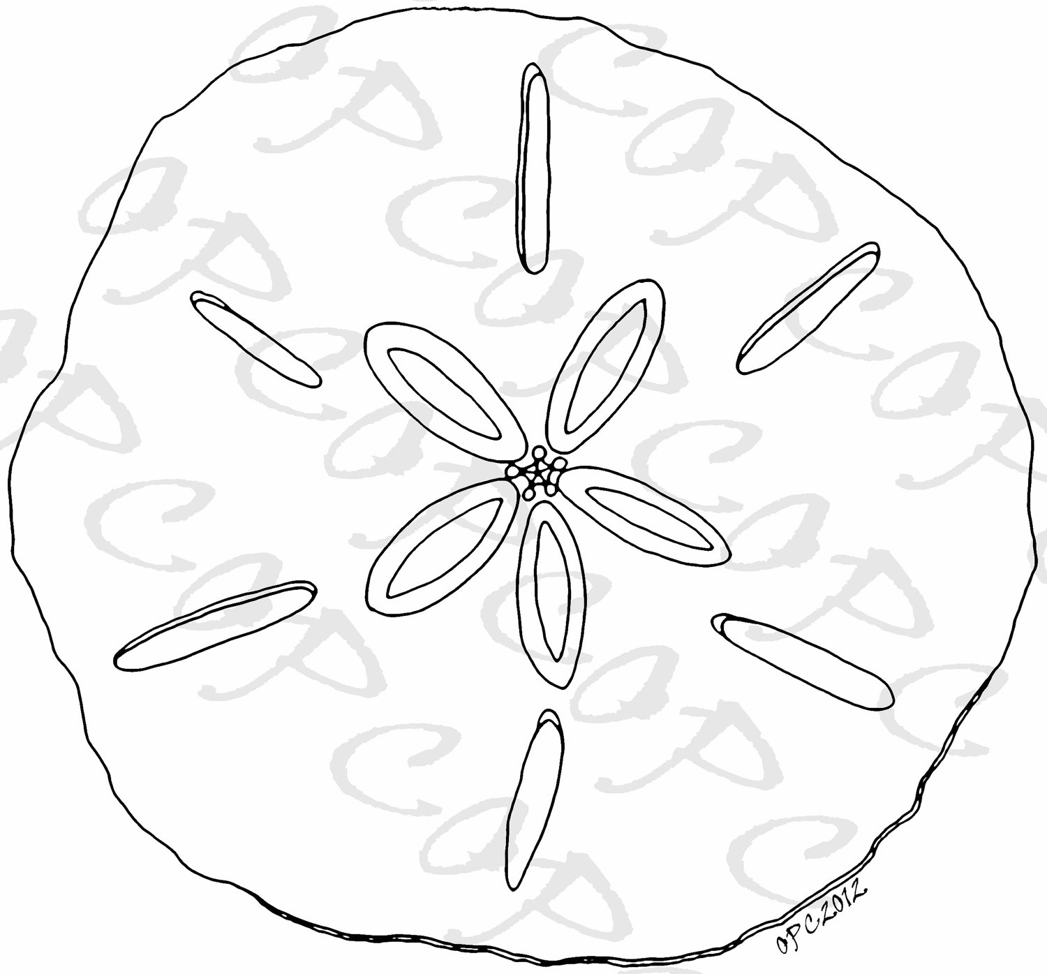Sand Dollar Coloring Page at GetDrawings | Free download