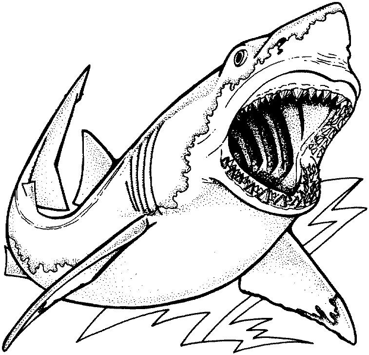 Scary Shark Coloring Pages At Getdrawings Free Download