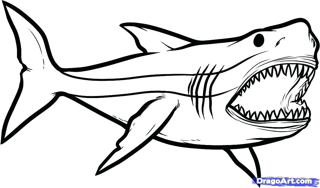 Scary Shark Coloring Pages At Getdrawings Free Download