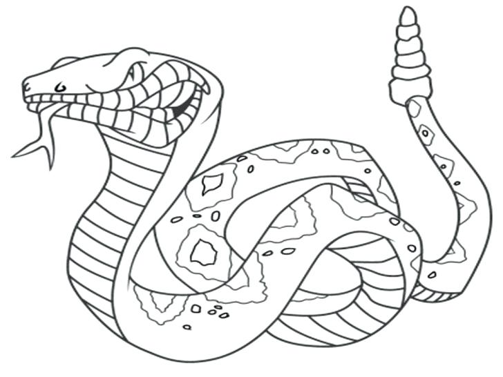 Scary Snake Coloring Pages At Getdrawings 