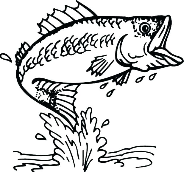 School Of Fish Coloring Pages at GetDrawings | Free download