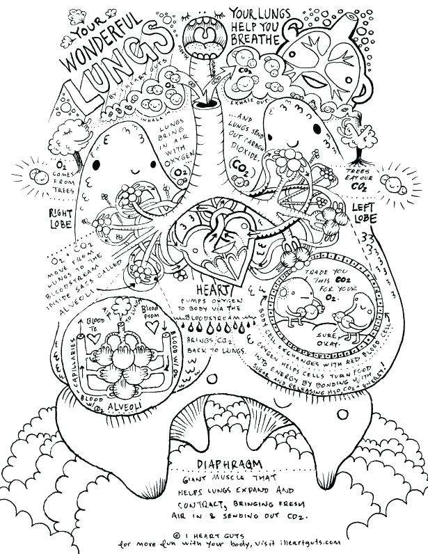 science-coloring-pages-for-middle-school-at-getdrawings-free-download