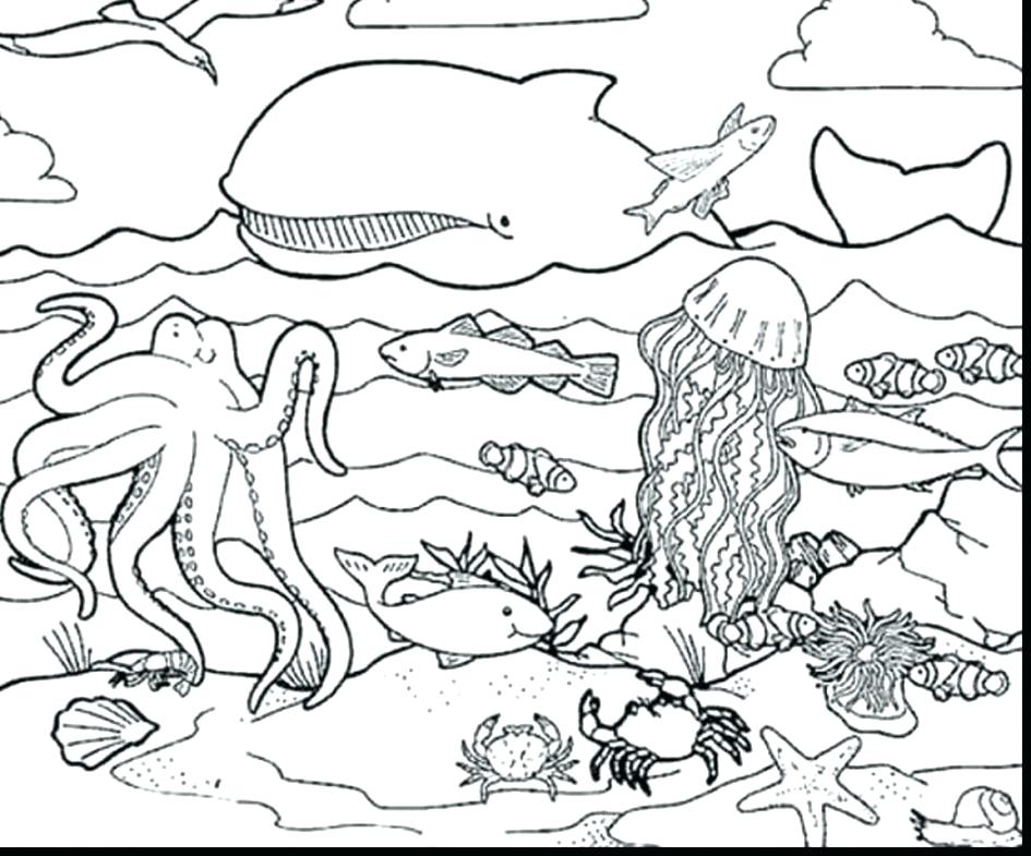 Sea Creatures Coloring Pages at GetDrawings | Free download