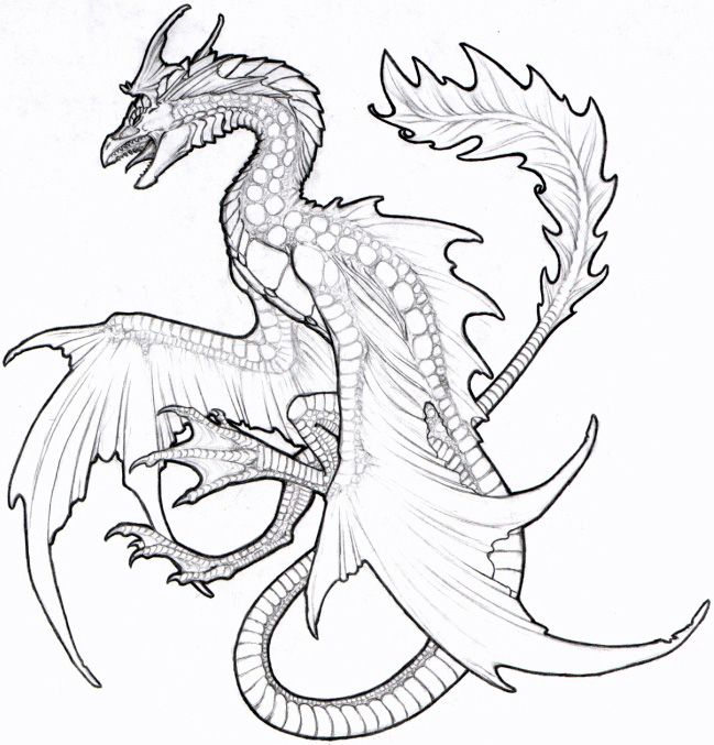 Sea Dragon Coloring Pages At Getdrawings Free Download