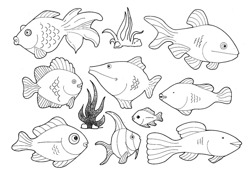 Sea Fish Coloring Pages At Getdrawings Free Download