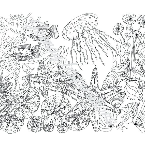 Sea Life Coloring Pages For Adults at GetDrawings | Free download