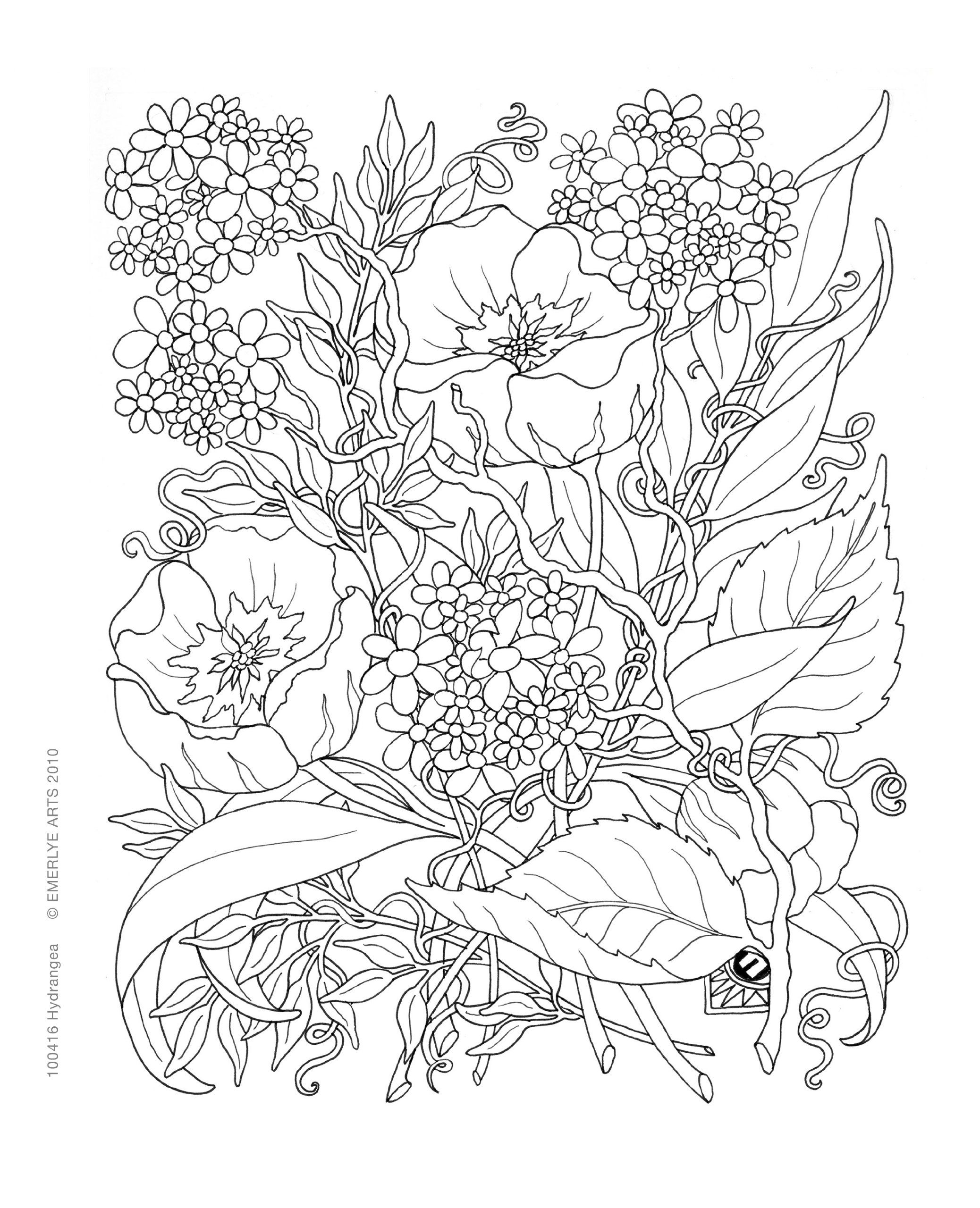 Free Printable Botanical Coloring Pages Printable Templates