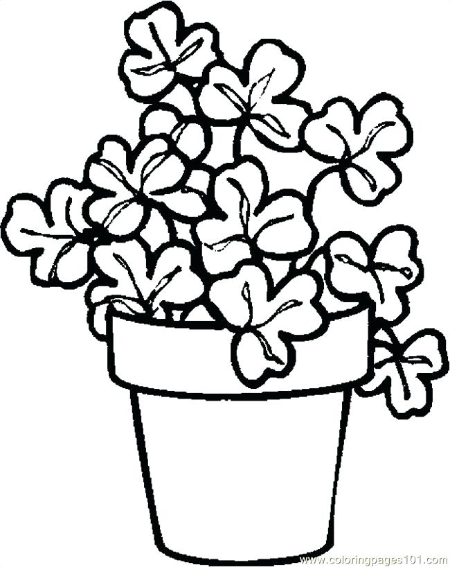 shamrock-coloring-pages-for-adults-at-getdrawings-free-download