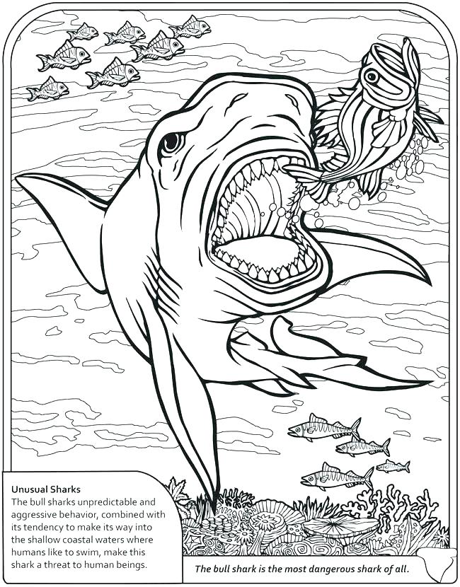  Quiver Coloring Pages To Print for Adult