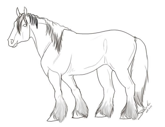Shire Horse Coloring Pages at GetDrawings | Free download