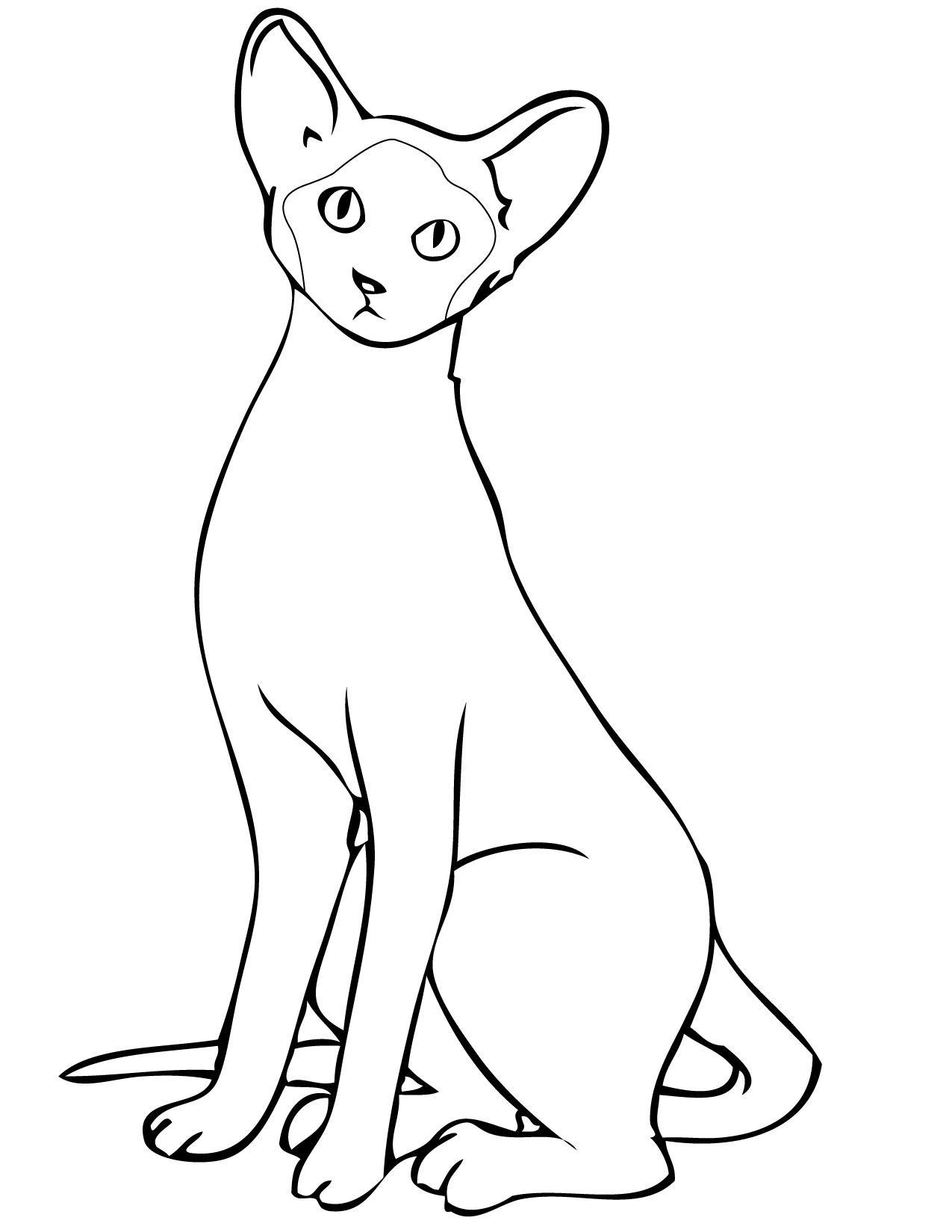 Siamese Cat Coloring Page at GetDrawings | Free download