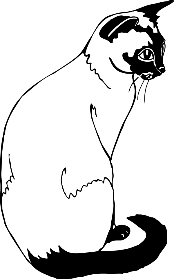 Siamese Cat Coloring Page At Getdrawings Free Download