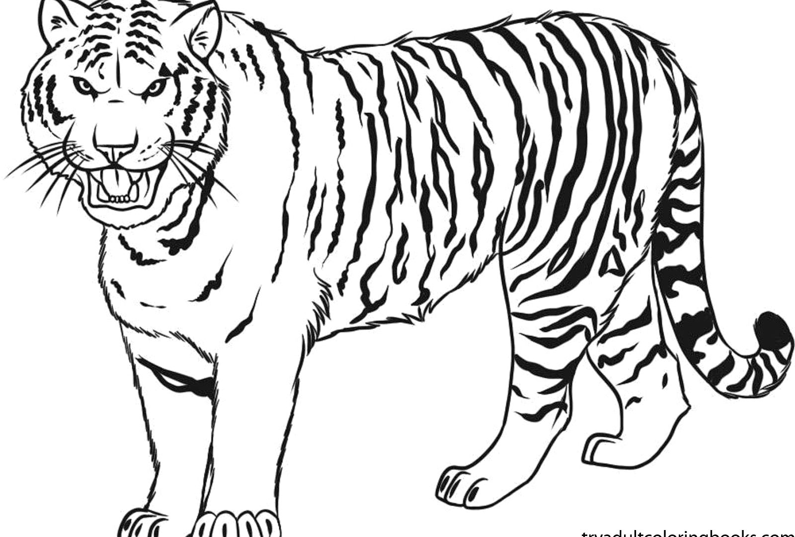 6. Black and White Siberian Tiger Tattoos - wide 1