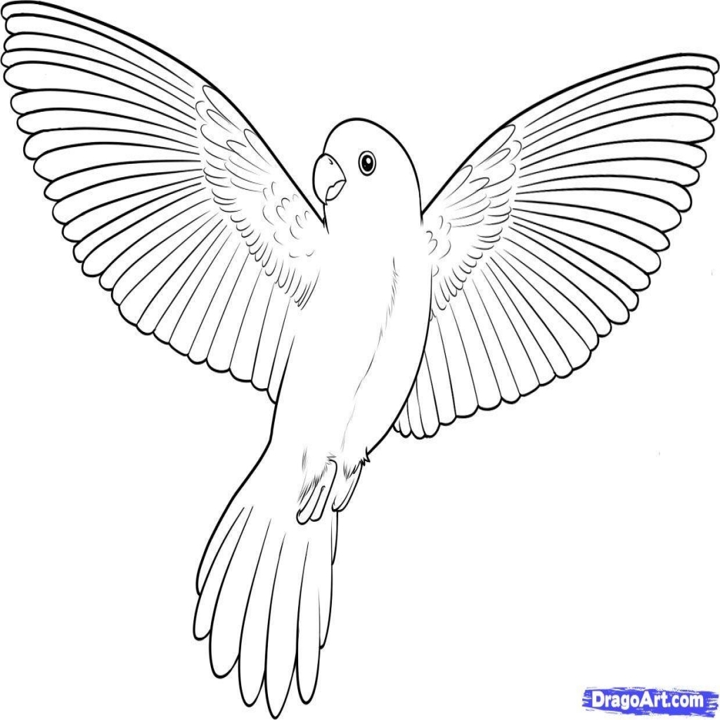 Simple Bird Coloring Pages at GetDrawings | Free download
