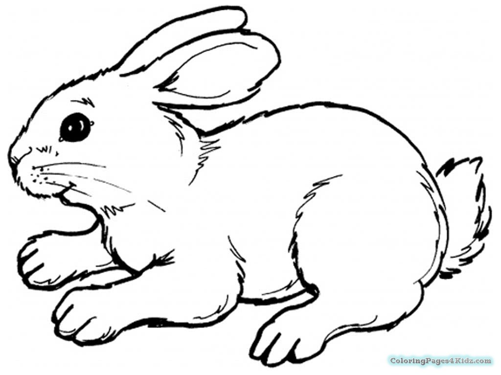 Simple Bunny Coloring Pages at GetDrawings Free download