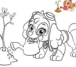 Featured image of post Colouring Pages Paw Patrol Skye Everest and stars for christmas