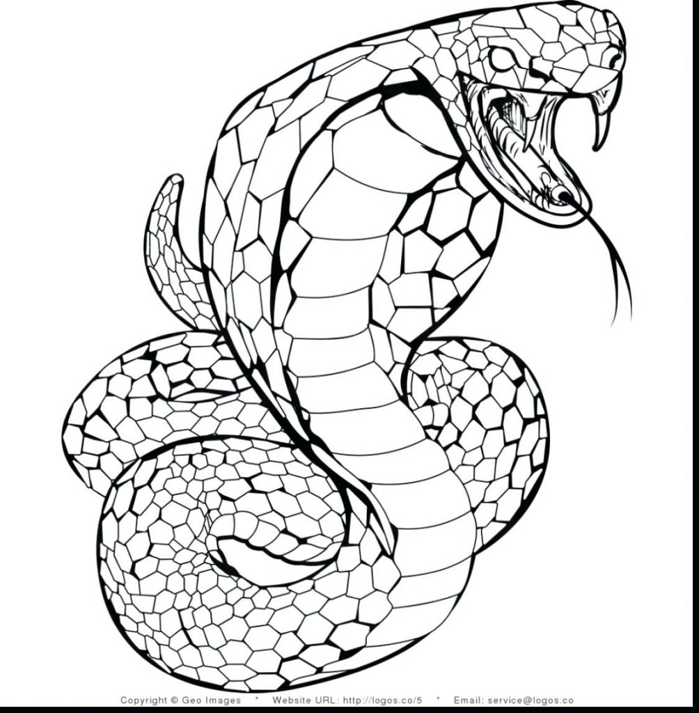 Realistic Printable Snake Coloring Pages Cakrawalanews