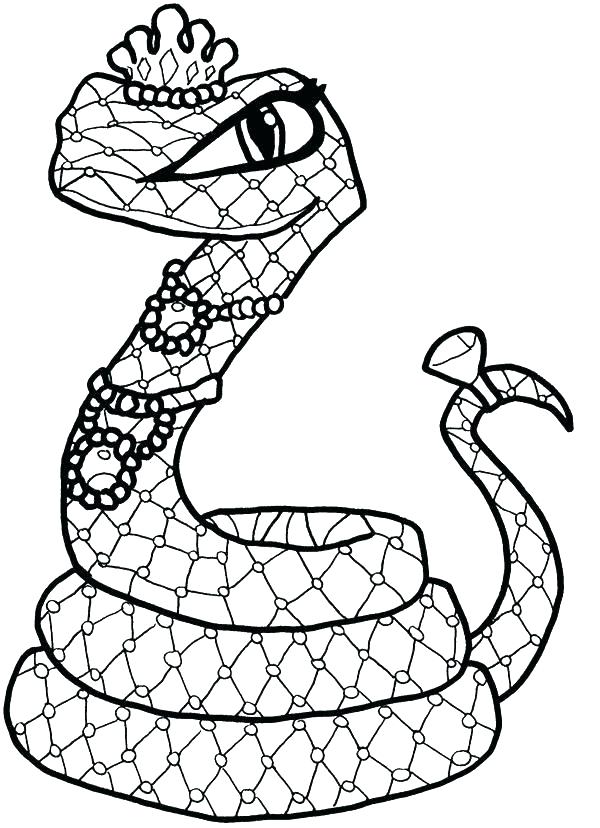 35+ Realistic Snake Coloring Pages PNG stxzgihihe