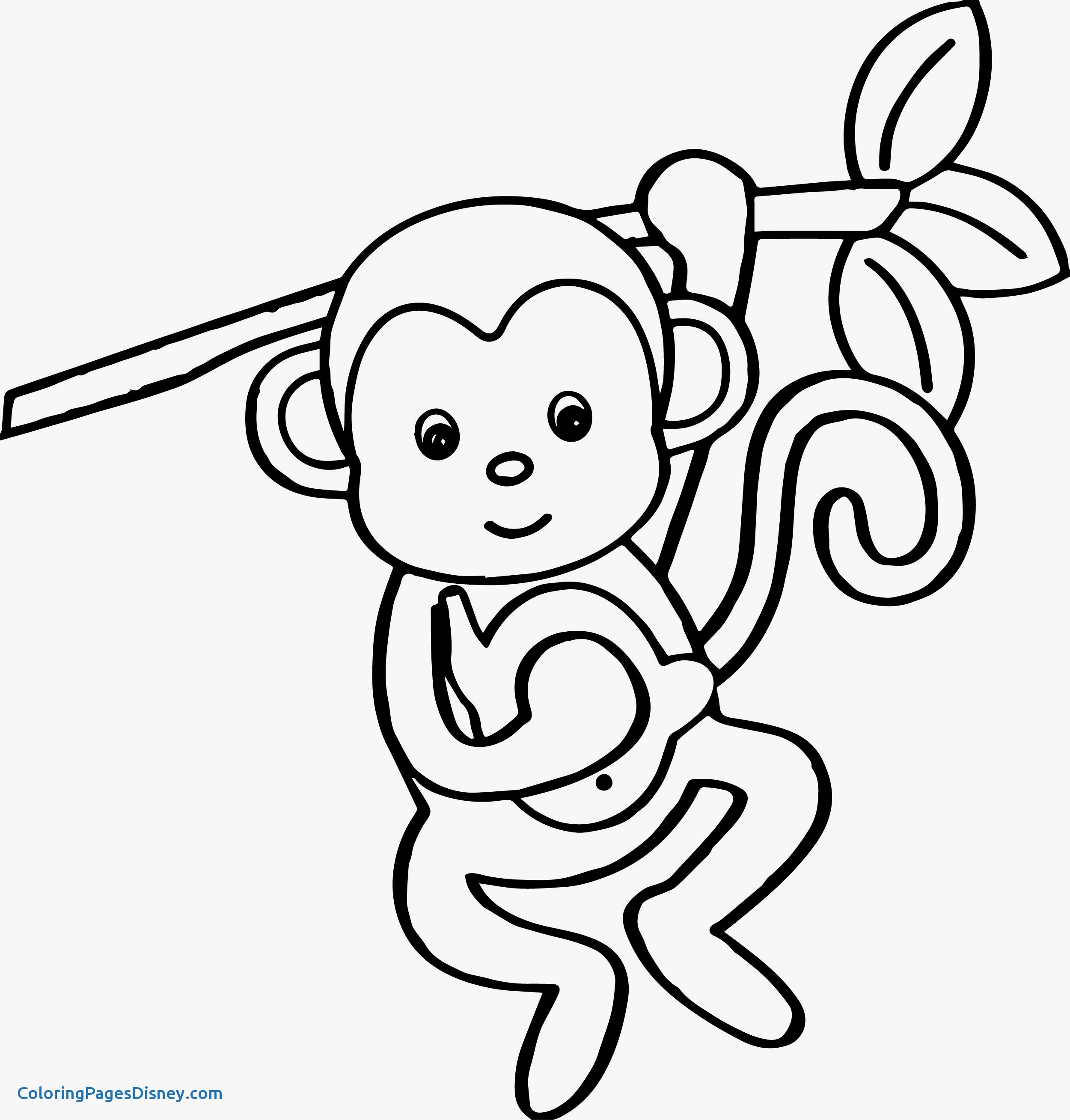 spider-monkey-coloring-page-at-getdrawings-free-download