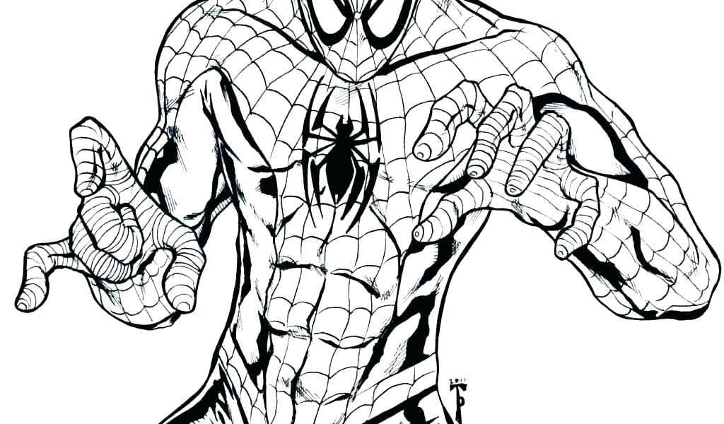 Spiderman Coloring Pages Pdf at GetDrawings | Free download