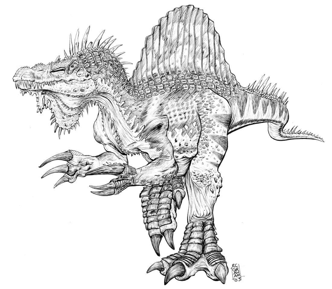 55 Spinosaurus Zum Ausmalen - Ausmalbilder / Malvorlagen kostenlos